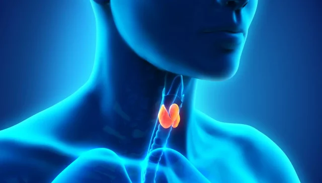 tiroidin aşırı çalışması